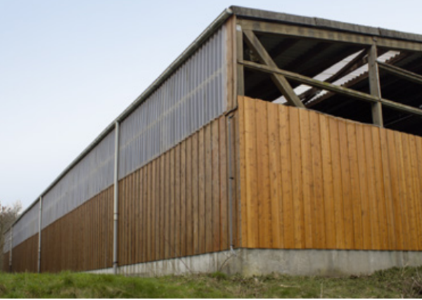 GFK Wellplatten, transparent